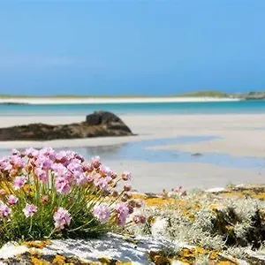 Wild Atlantic Self-catering Gasthof